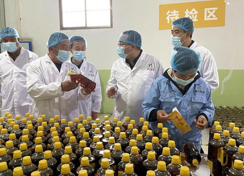 天津市甘肅商會(huì)考察武山縣農(nóng)產(chǎn)品及工藝品生產(chǎn)銷售情況