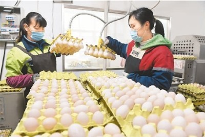 多部門聯手保供穩價