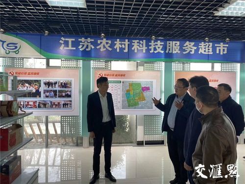 破解無人種地困境,泰州建1.3萬家農(nóng)民合作社和家庭農(nóng)場(chǎng)