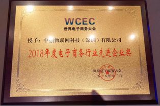 喜訊 中創(chuàng)物聯(lián)網(wǎng)榮獲2018年世界電商大會 電子商務行業(yè)先進企業(yè)獎