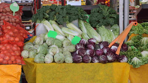 糧油 中國食品安全網(wǎng)