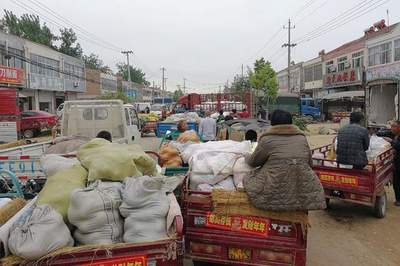 薇婭偷逃稅被罰13.41億,農民網上賣菜要繳稅嗎?看看規定咋說