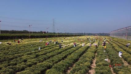 彬州:農特產品多證賦能 打通產業振興&ldquo;大動脈&rdquo;