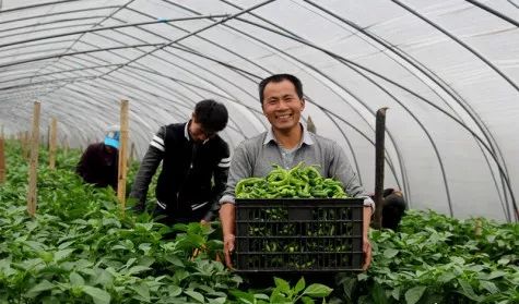 必看 2019年中央 一號(hào)文件 發(fā)布,這六大新變化 三個(gè)投資方向,將直接影響你的錢袋子