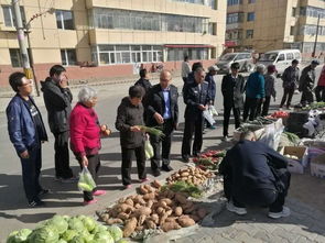 【旗縣區(qū)食事藥聞】