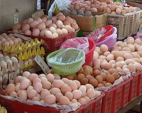 受多重因素影響 市區(qū)雞蛋豬肉價(jià)格普遍上漲