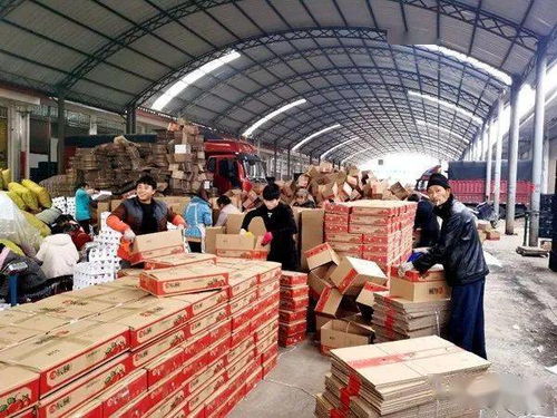 小小水果泡沫托，輕盈承載脫貧夢(mèng)——探索初級(jí)農(nóng)產(chǎn)品網(wǎng)絡(luò)銷(xiāo)售新路徑